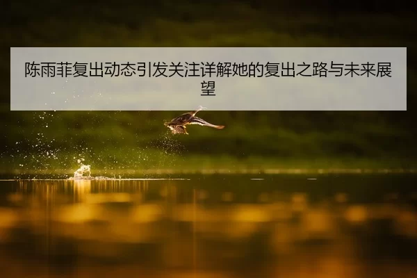 陈雨菲复出动态引发关注详解她的复出之路与未来展望